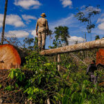 image_processing20200605-27925-m8ep4s