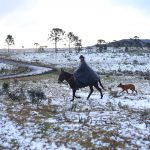urubici_-_serra_catarinense_registra_primeira_neve_do_ano_20170609_1396530096